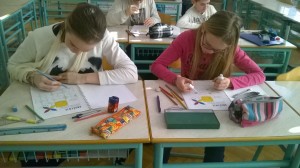 WP_20160129_003 (Medium)