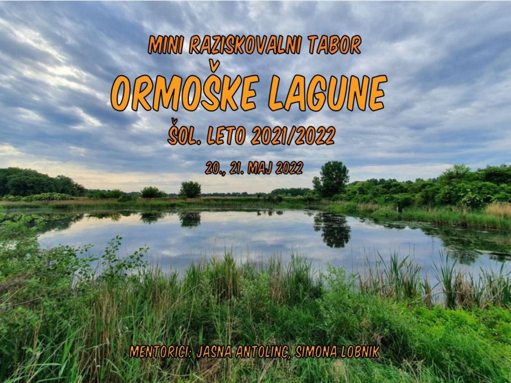 Mini raziskovalni tabor Ormoške lagune